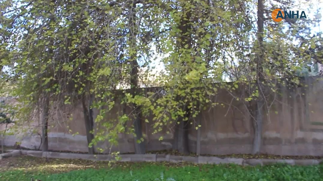 الأمطار تنهي الجفاف وتعيد الحياة للزراعة والبيئة