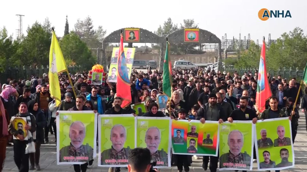 Li Kobanê şehîdekî QSD`ê hat oxirkirin