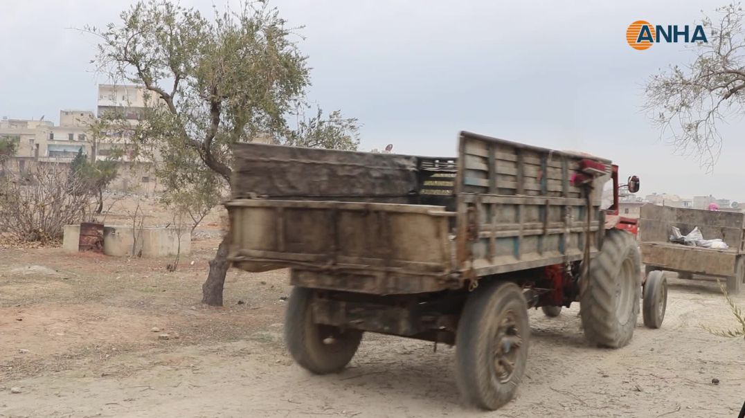 تنظيف المقابر اليهودية في الشيخ مقصود والأشرفية