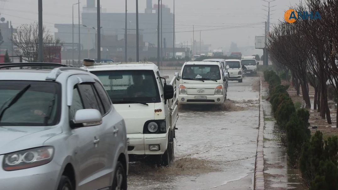 أمطار غزيرة تعيد الحياة إلى الجزيرة بعد طول انتظار