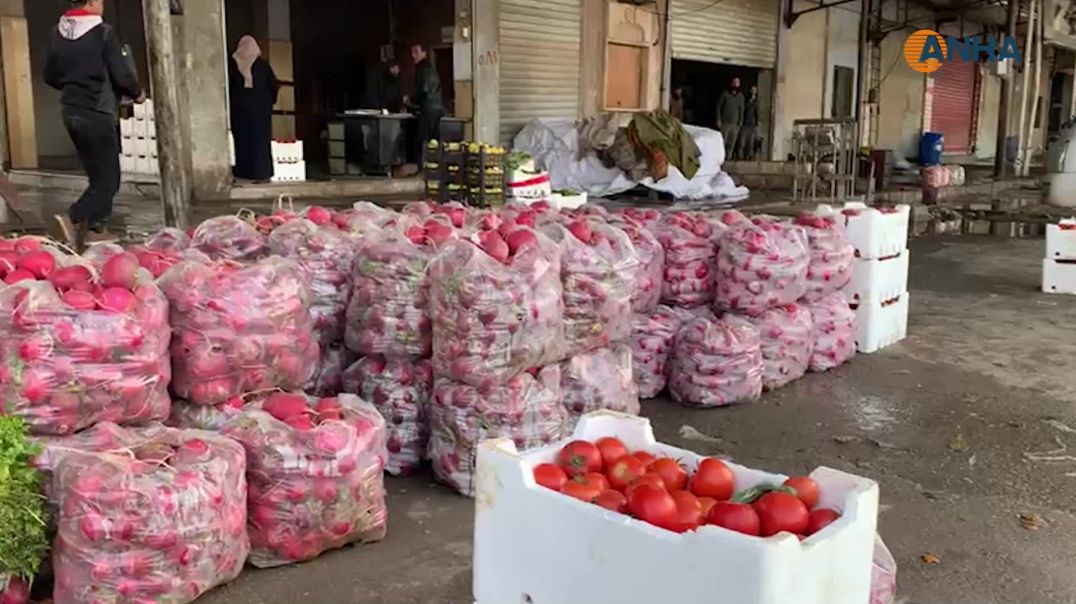 ⁣أسواق الحسكة مستقرة وأسعار الخضار دون ارتفاع رغم شحّ الواردات