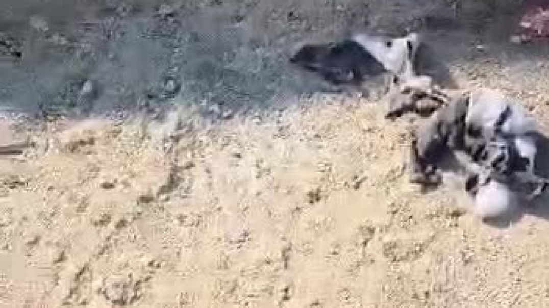 قسد تنفي ادعاءات الحكومة المؤقتة حول وجود تحركات عسكرية على جبهة دير حافر