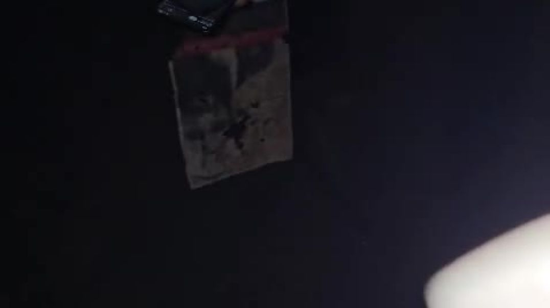 Dilê Kurdistan û Ewropa ji bo Rojava lê dide