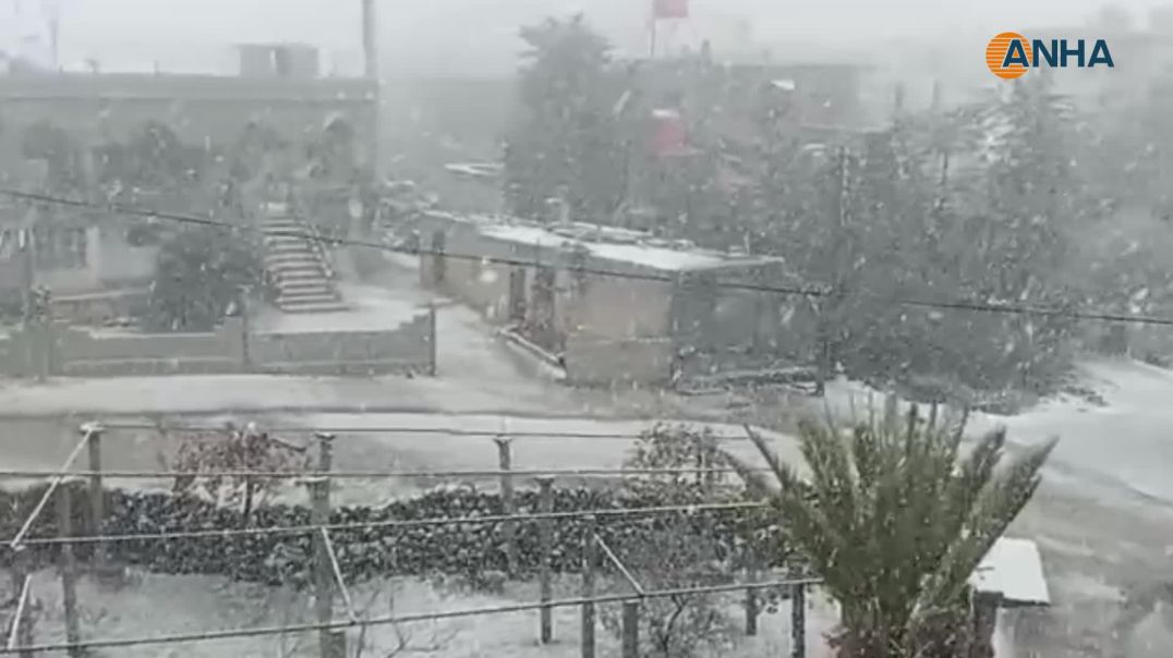 تساقط الثلوج يكسو السويداء وريفها بحلّة بيضاء