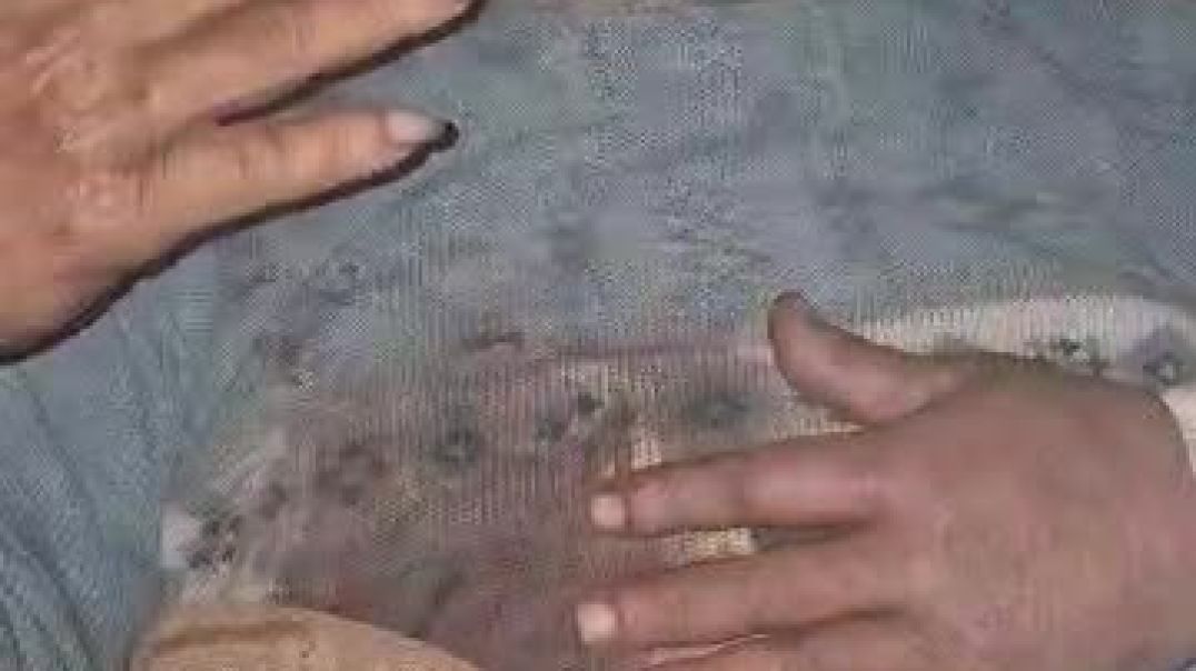 Ji Meclisa Gel a Şêxmeqsud banga lezgîn