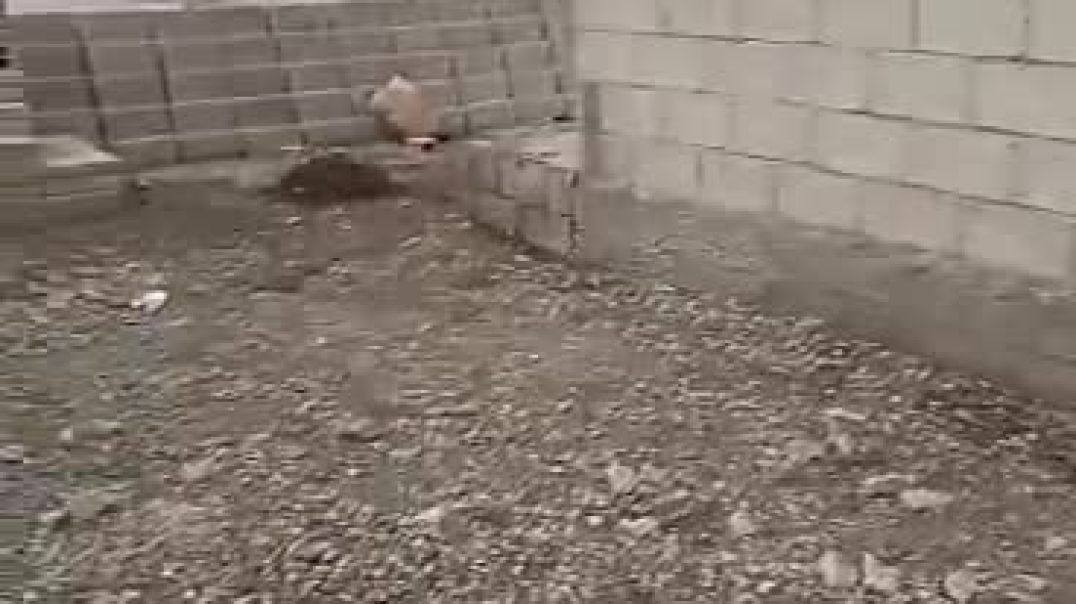 مرتزقة الحكومة الموقتة يستهدفون قريتين جنوب كركي لكي بطائرات مسيّرة 