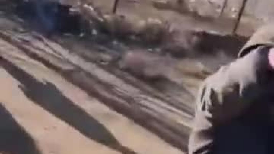 مشاهد تكشف مُطلِق أُسر داعش من مخيم الهول