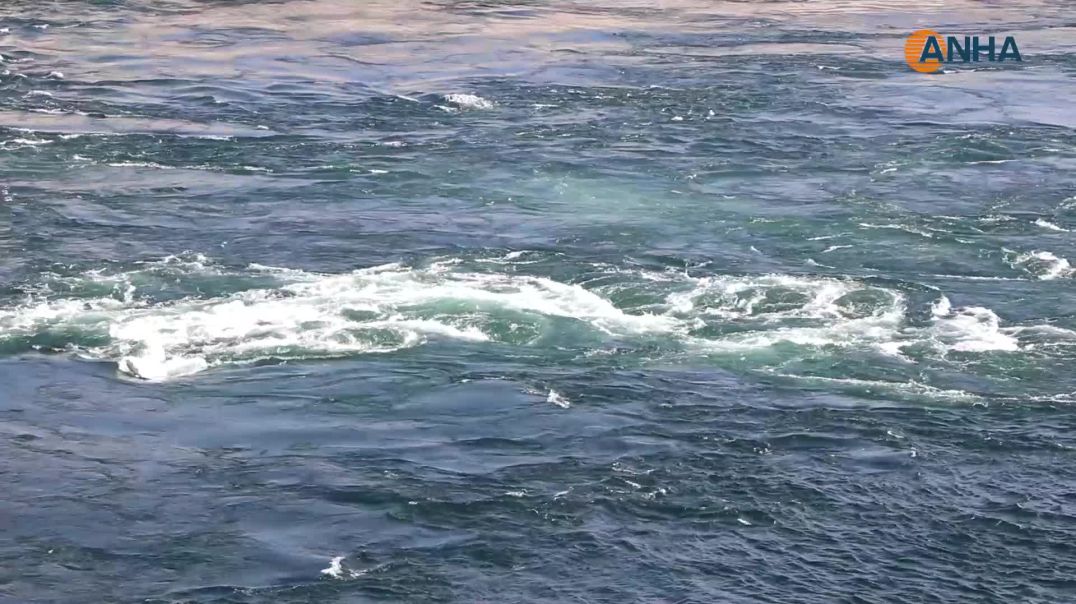 ⁣سد تشرين… ملحمة صمود ووحدة صنعت الانتصار وحمت مكتسبات الشعوب