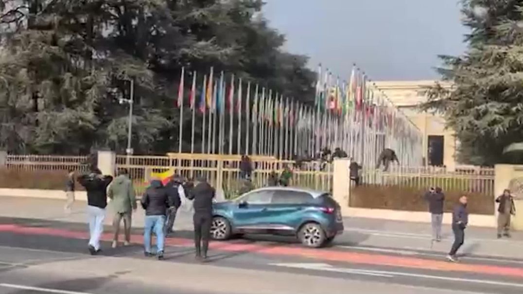 Li pêşiya avahiya NY ya Cinêv çalakiya ji bo Rojava