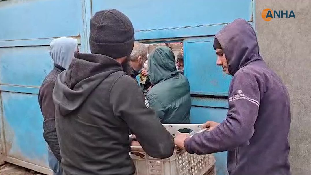 ⁣مقاطعة الجزيرة ترفع جاهزيتها الخدمية وتوسّع شبكة الأفران لضمان استقرار الخبز - الحسكة