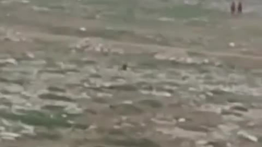 مشاهد مصوّرة جديدة توثق فرار أسر داعش من مخيم الهول دون أي حراسة