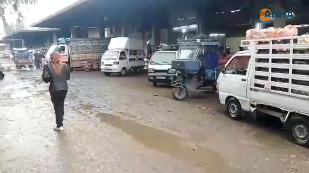 سوق الهال في حماة.. تدهور خدماتي وغياب الشفافية