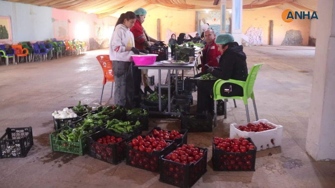 استمرار توزيع المساعدات على العوائل المهجّرة في عامودا  