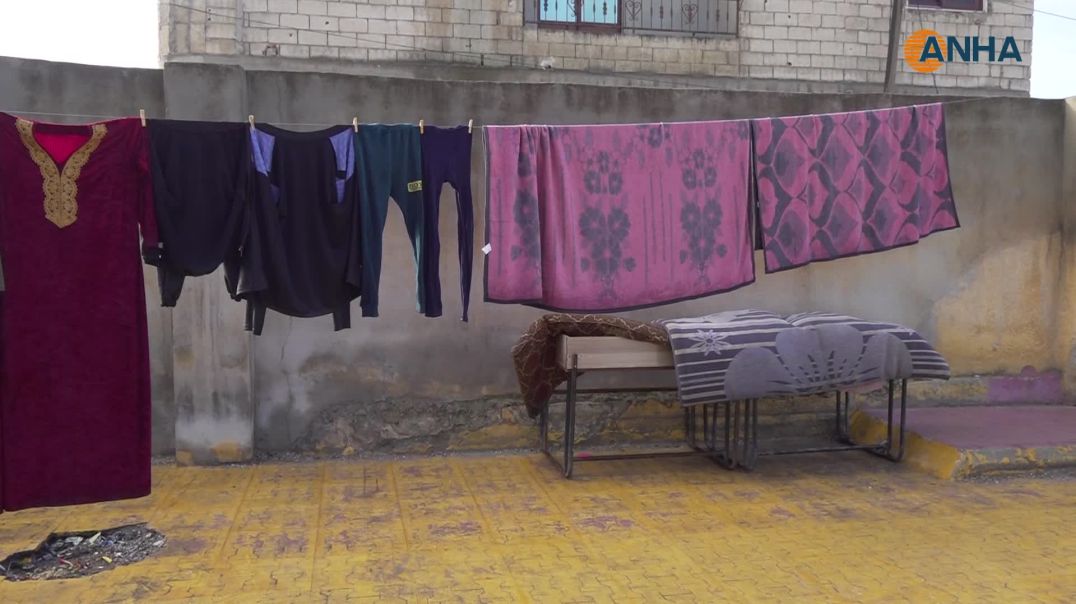 "نريد العودة إلى كري سبي"