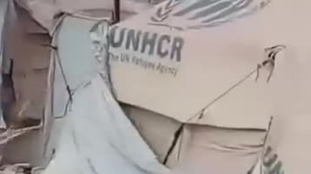 وصول دفعات من مخيم الهول إلى ريف حلب وسط غموض حول إجراءات النقل