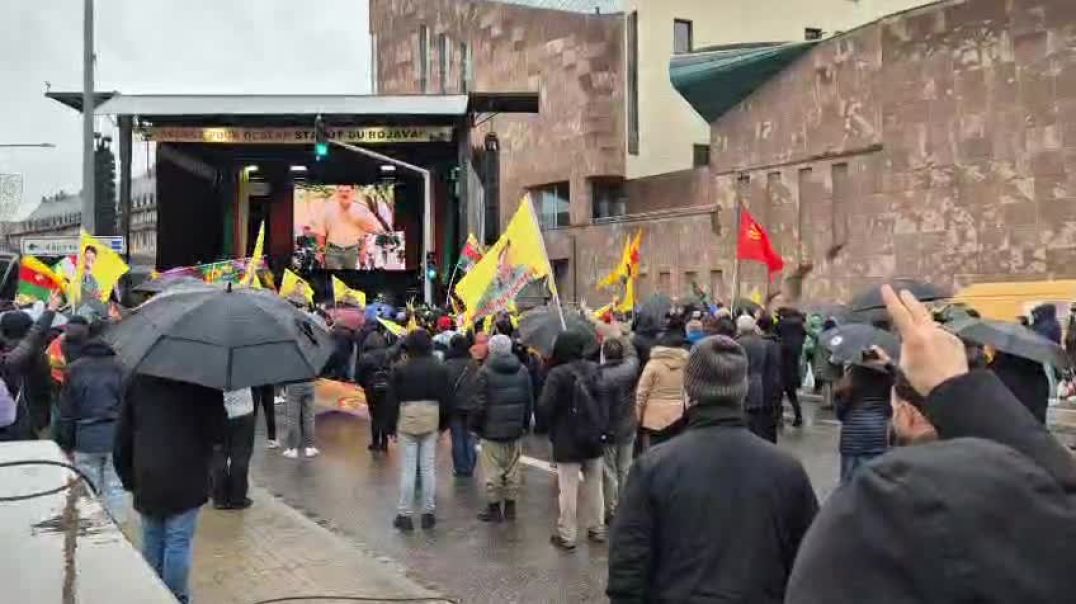 Li Strasbûrgê çalakiyeke navendî: Ji Rêber Apo re azadî ji Rojava re statû