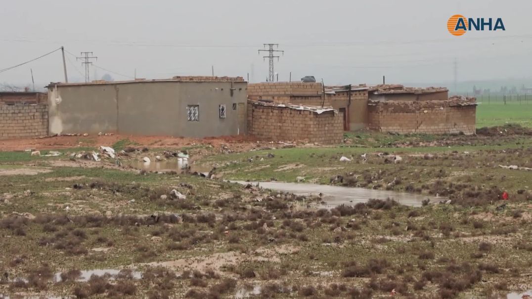 نتيجة الأمطار الغزيرة.. المياه تغمر حي جمعاية بقامشلو مجدداً