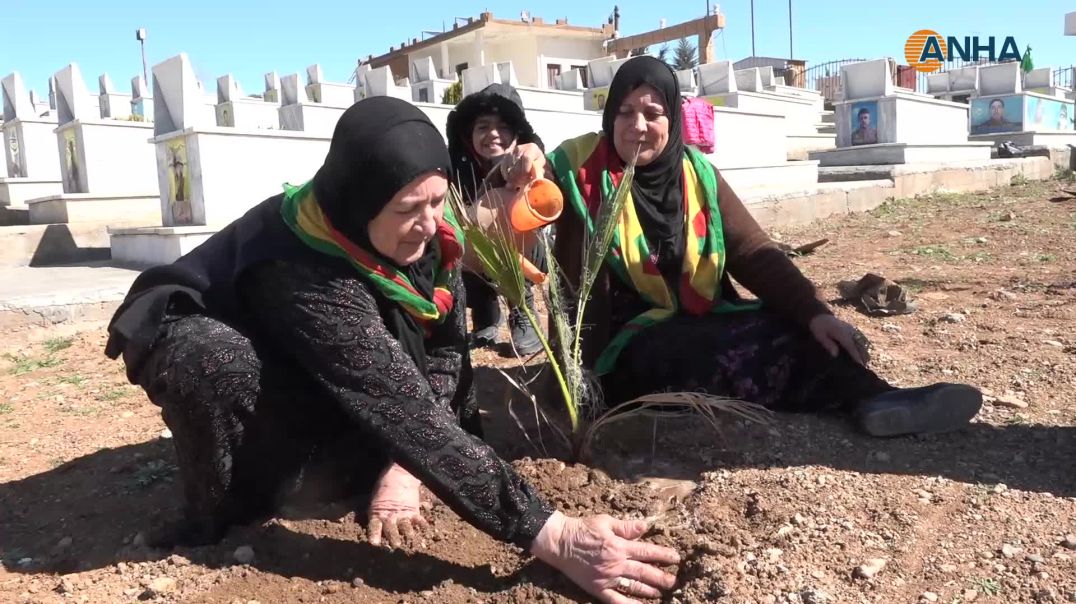 فعاليات نسائية متنوعة تؤكد دور المرأة في صون التراث ومواصلة النضال-تربسبية