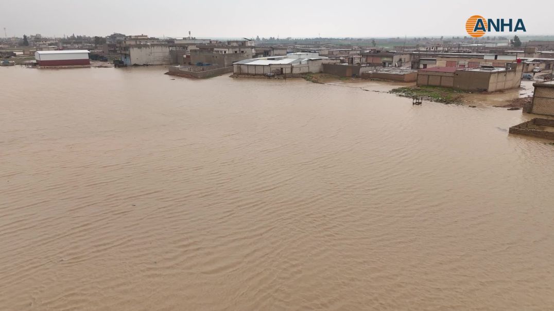 بالصور والفيديو.. الأمطار الغزيرة تشكل بحيرات في حي الجمعاية