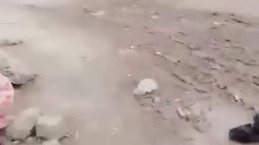 نهب وتخريب منازل مهجّرين في سري كانيه قبيل انسحاب مرتزقة الاحتلال التركي