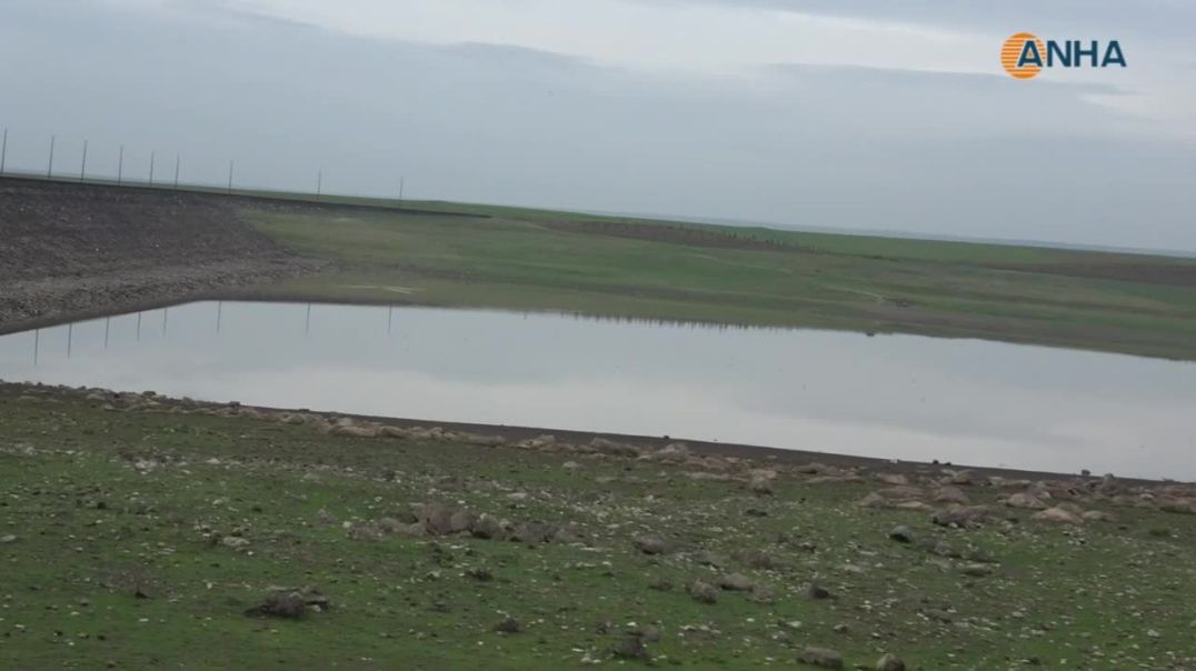 بعد سنوات الجفاف… الأمطار تعيد الحياة إلى ينابيع آليان وتنعش سدّي جل آغا وذخيرة