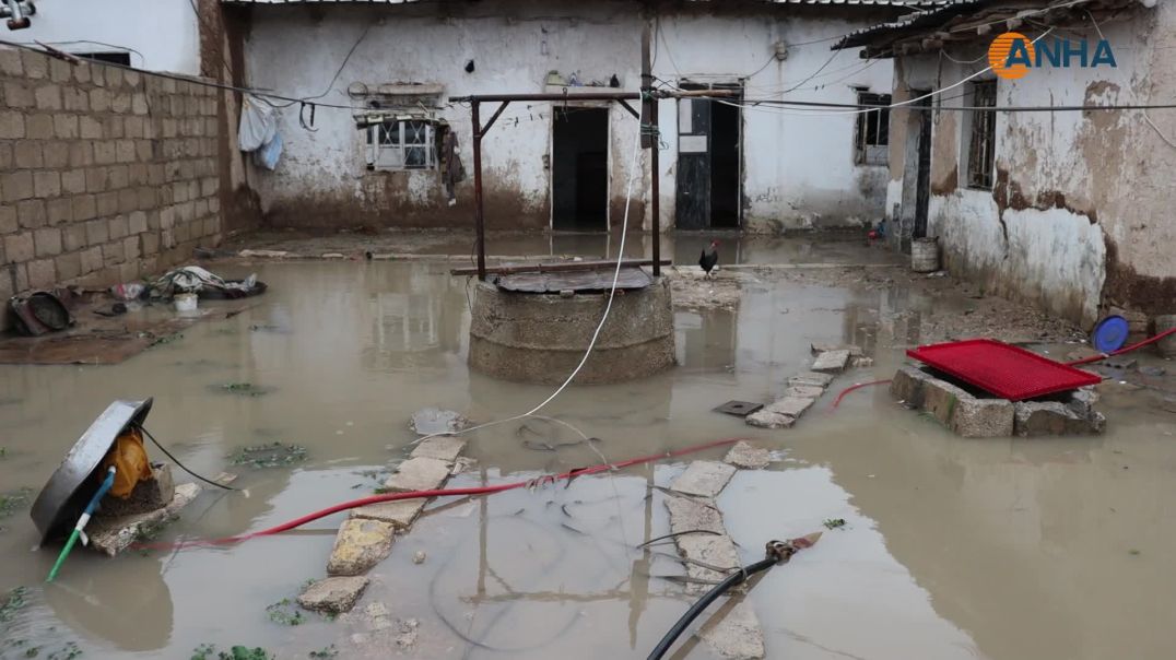 تسرب المياه إلى منازل قامشلو وجل آغا وخسائر زراعية كبيرة في تربه سبيه نتيجة الامطار