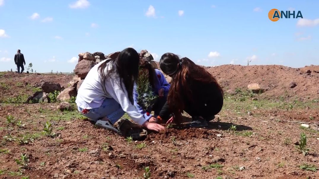 ⁣Desteya Ekolojiyê û Kongra Star bi boneya 4`ê Nîsanê dar çandin