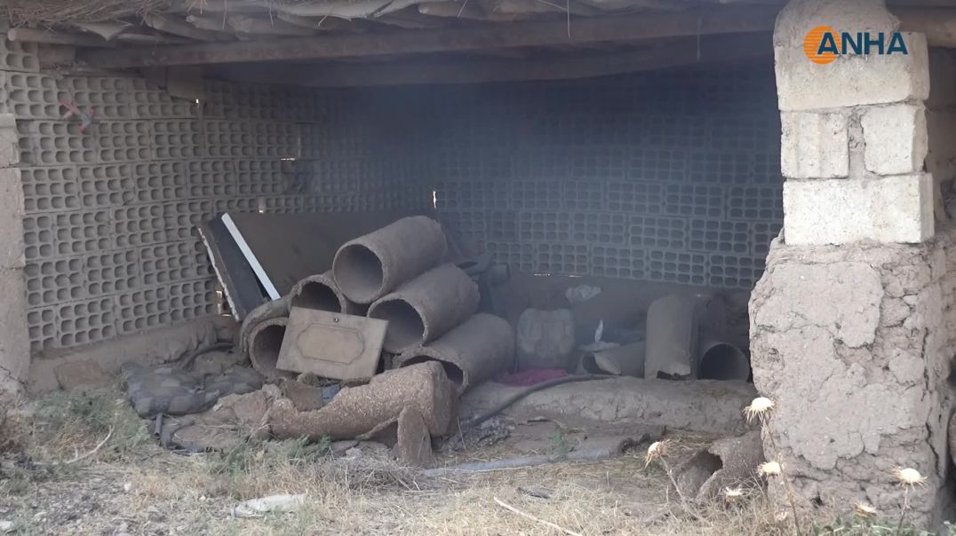 انتعاش تربية النحل.. الأمطار تعيد الأمل بعد سنوات الجفاف