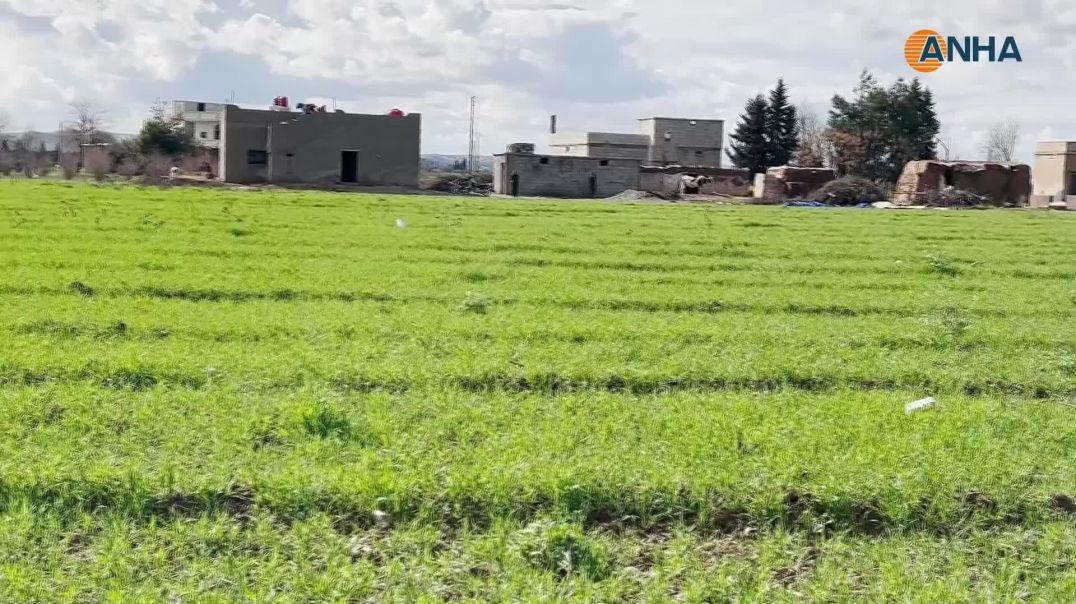 مشاهد من ربيع كوباني