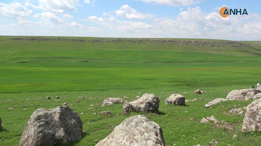 ⁣انتعاش المراعي في منطقة آليان بعد هطول الأمطار