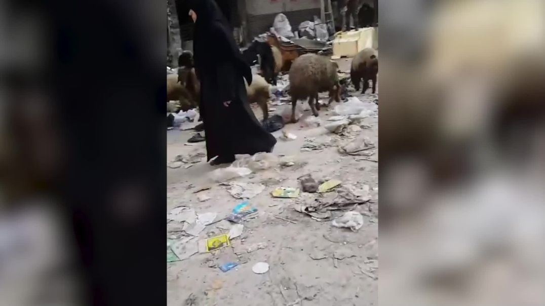 تكدس أكوام النفايات في شوارع حلب