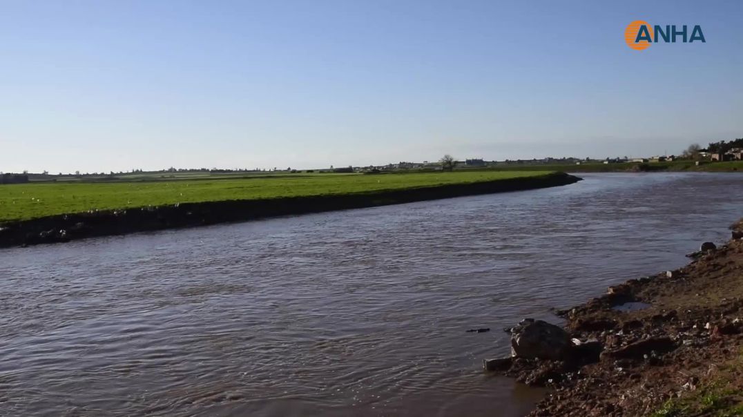 ⁣تل تمر ترتدي ثوب الربيع على ضفاف الخابور