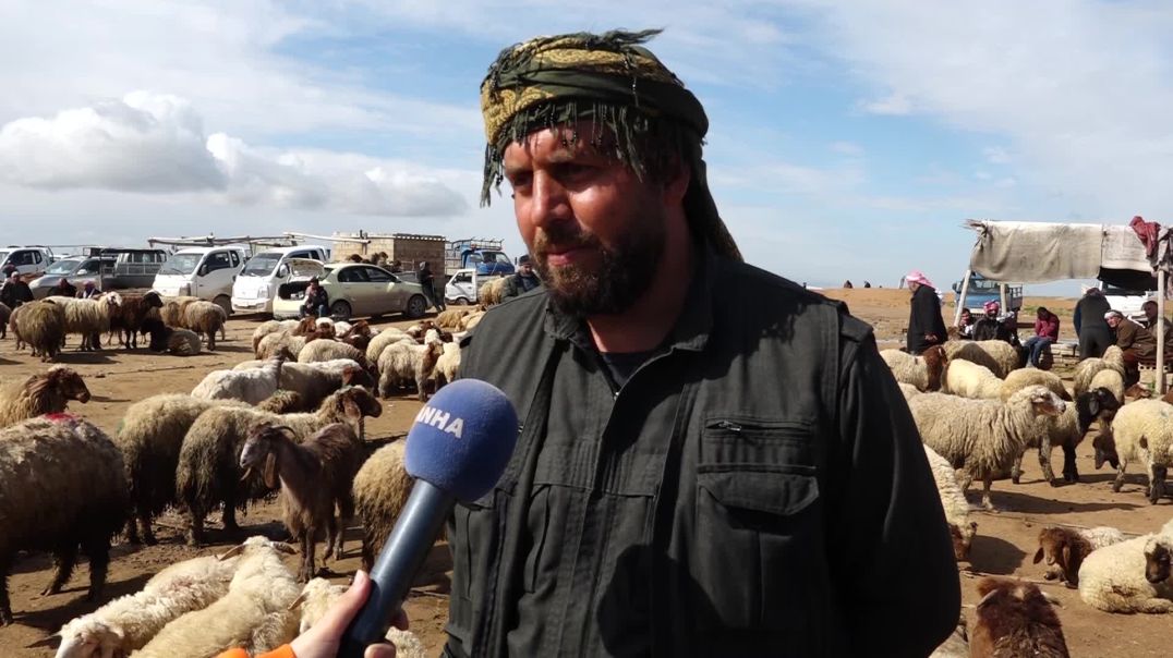 ⁣انتعاش أسواق المواشي في الجزيرة مع حلول الربيع وارتفاع ملحوظ في الأسعار