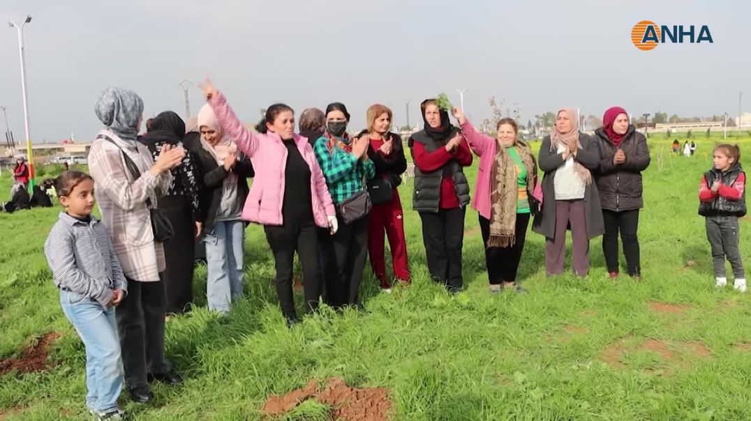 3-4-2026-QAMISLO-JI-BO-4-E-NISANE-KONGRA-STAR-77-DAR-CANDIN