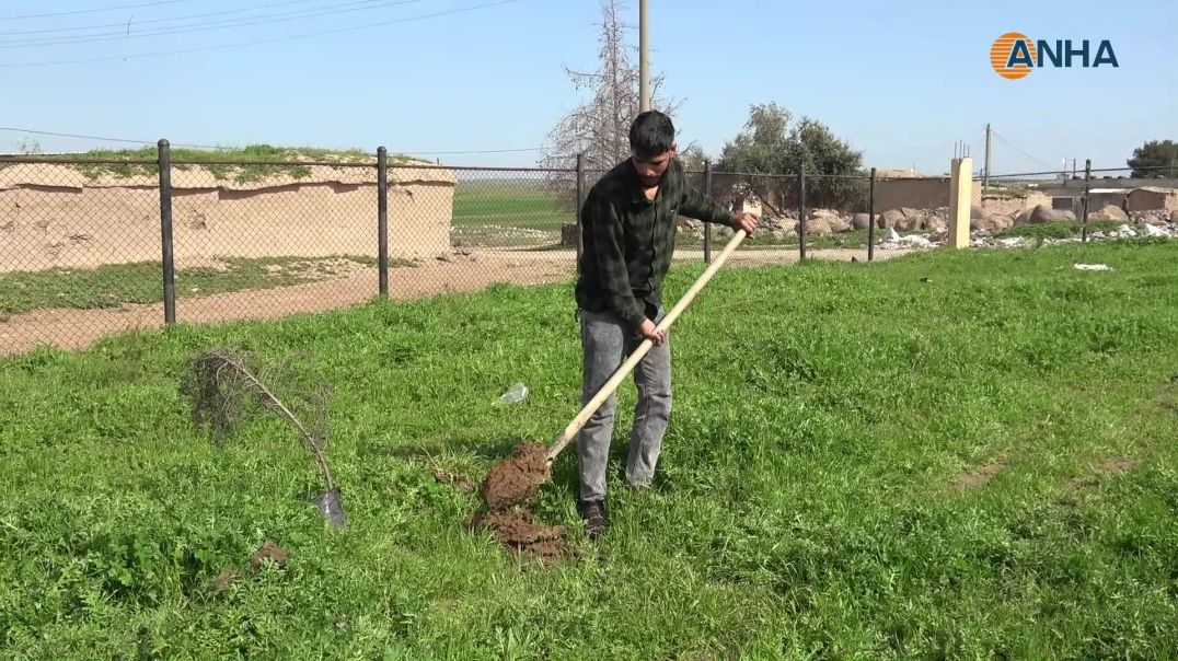 أهالي ذخيرة يطلقون مبادرة بيئية لزراعة الأشجار في حديقة القرية