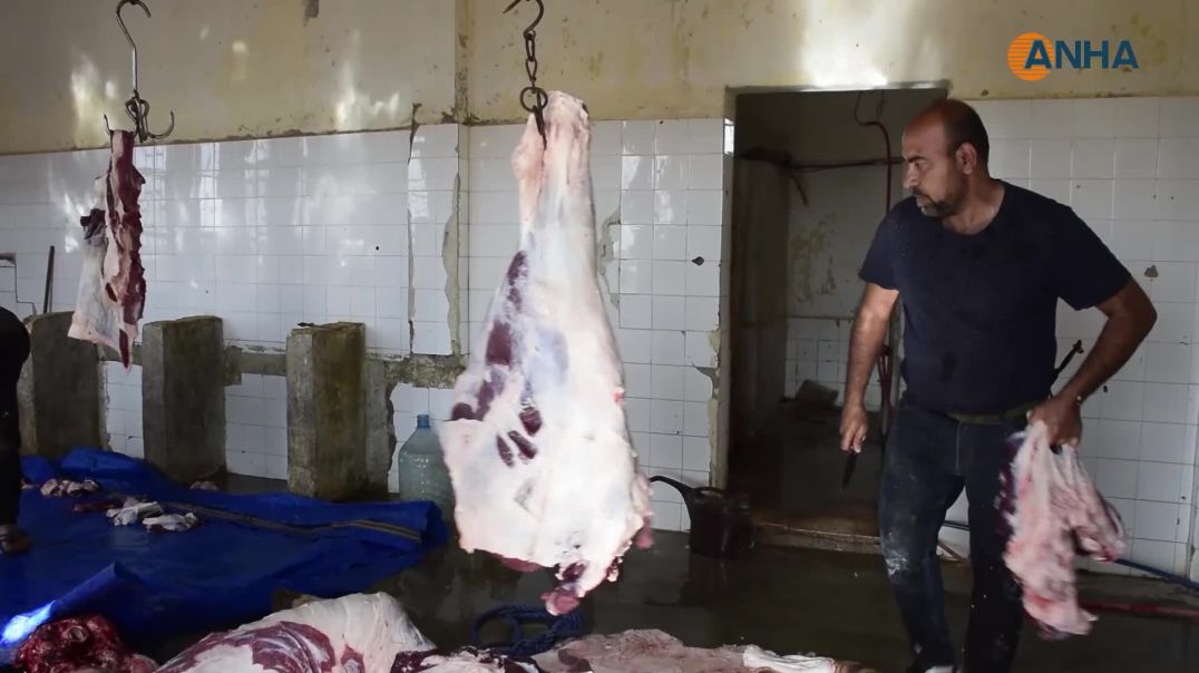 مبادرات إنسانية في جل آغا وتل تمر وكوباني لدعم عوائل الشهداء في العيد - تل تمر