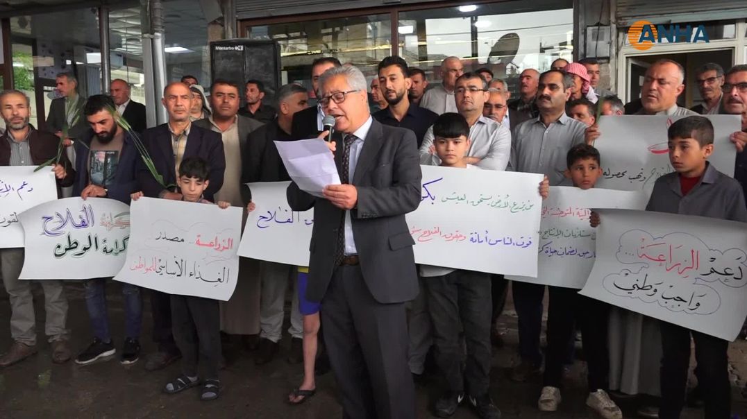 ⁣وقفات احتجاجية في الحسكة وقامشلو وديرك وكوباني رفضاً لتسعيرة القمح - كوباني