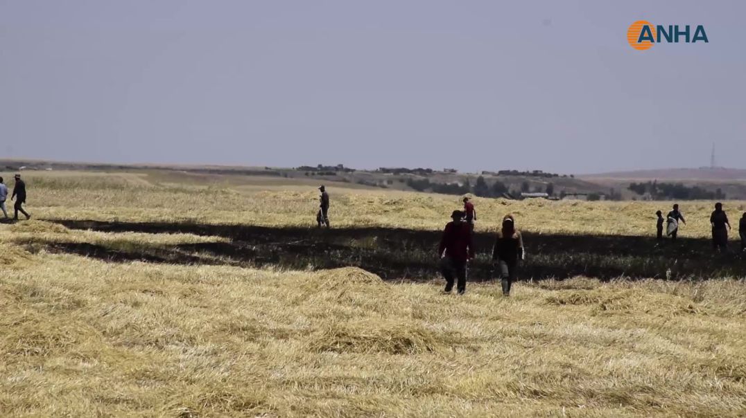 فرق الطوارئ بمساندة الأهالي تسيطر على حريقين جنوب وغرب تل تمر