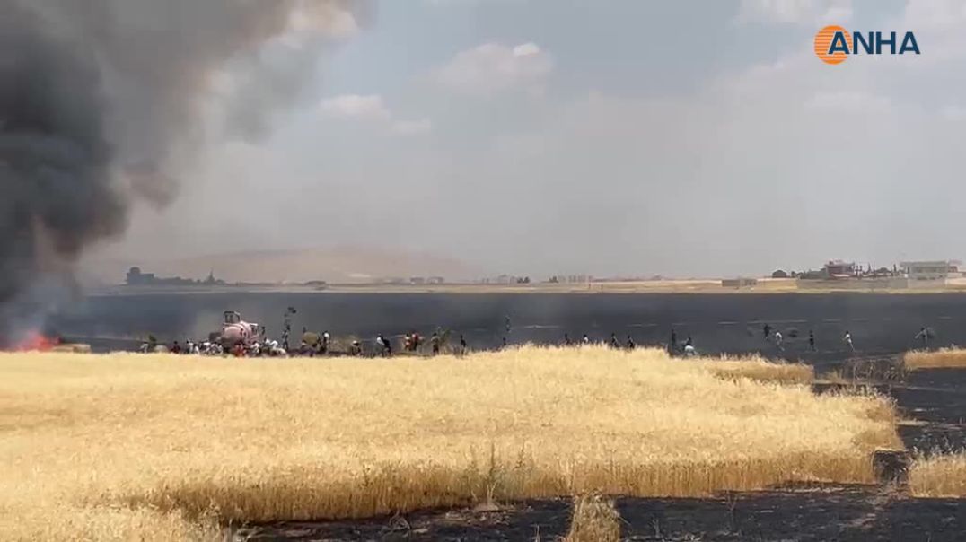 اندلاع حريق في الأراضي الزراعية بقرية هيمو