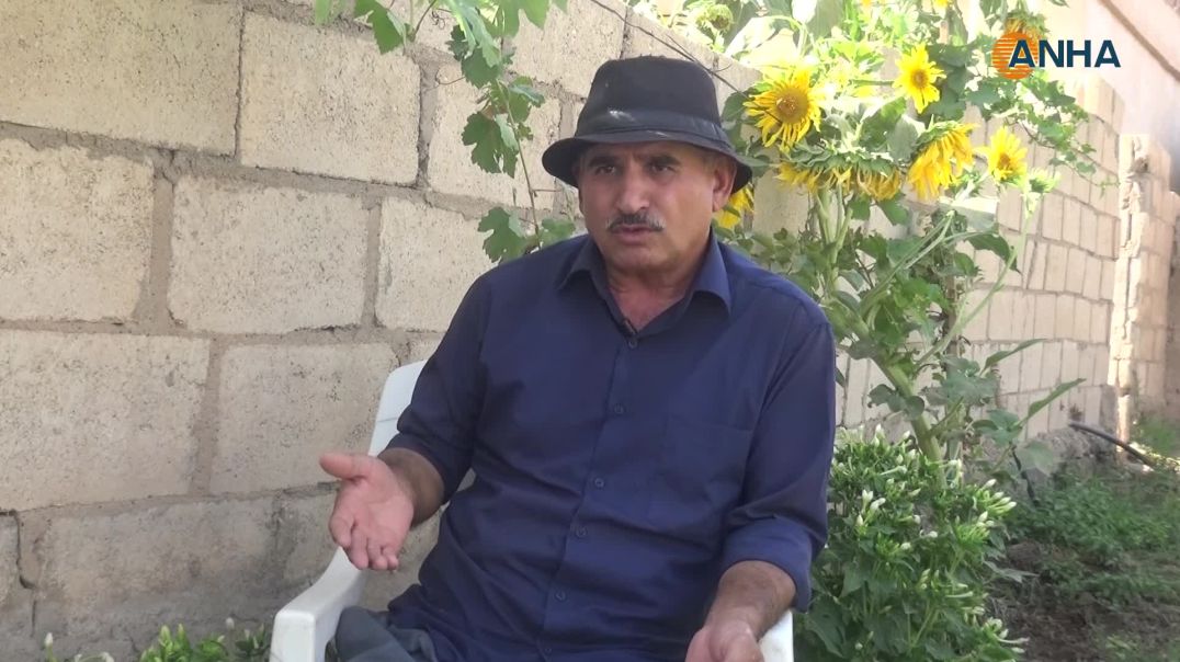 من فناء منزل إلى حديقة خضروات