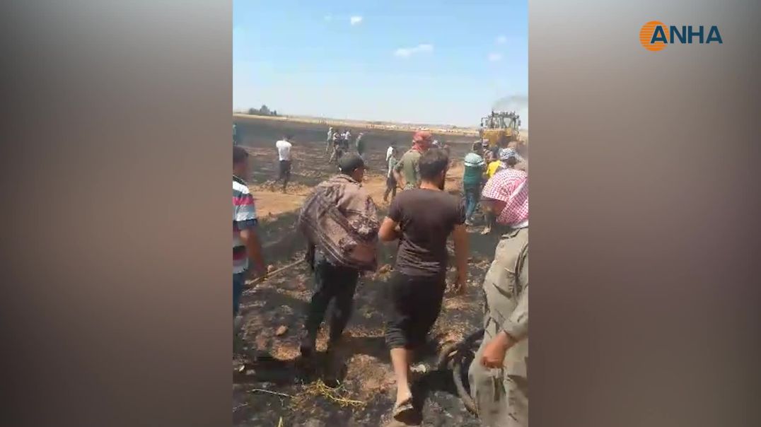 إخماد عدة حرائق في محاصيل القمح والزيتون جنوب وغرب تل تمر