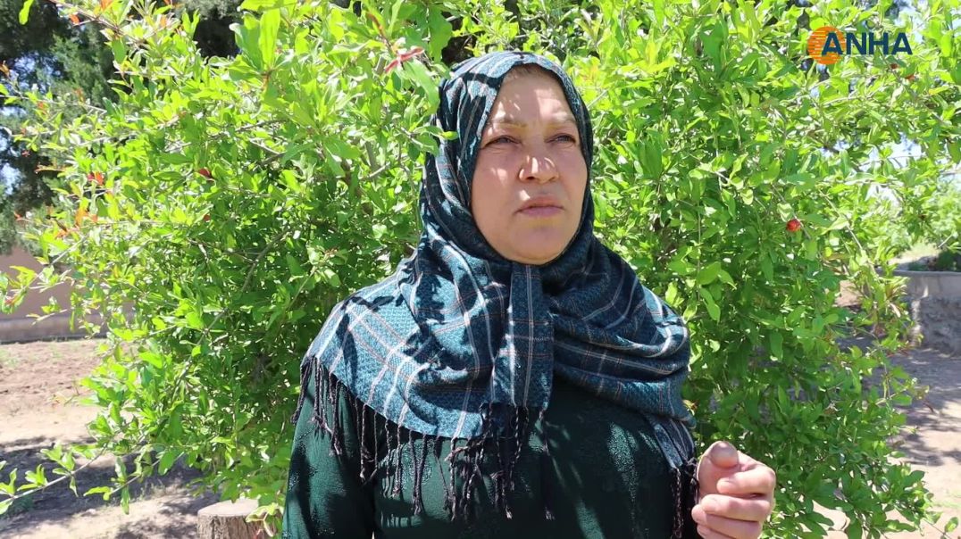 ⁣عوائل شهداء: الحرية الجسدية للقائد ضرورة لإنجاح مسار السلام