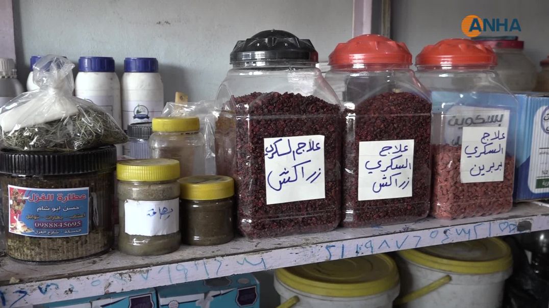 ⁣توجُّه إلى التداوي بالأعشاب في علاج الأمراض المزمنة