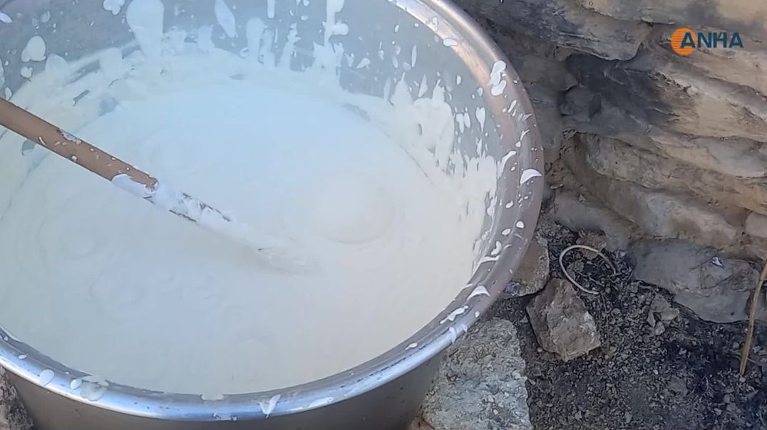 اللبن المُجفف منتج تصنعه أيدي الأمهات